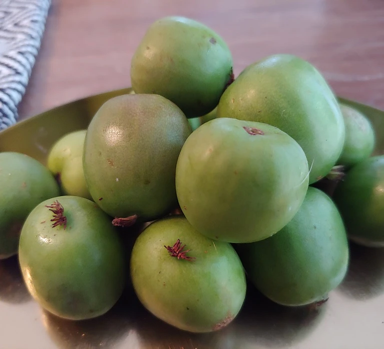 Bayern-Kiwi Set Actinida Arguta – Bild 2