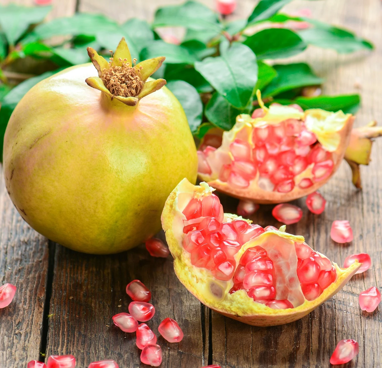 Granatapfel `Haku Botan´ Punica Granatum