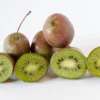 Großfrüchtige Bayern-Kiwi `Pink Jumbo´ Actinidia Arguta `Pink Jumbo´